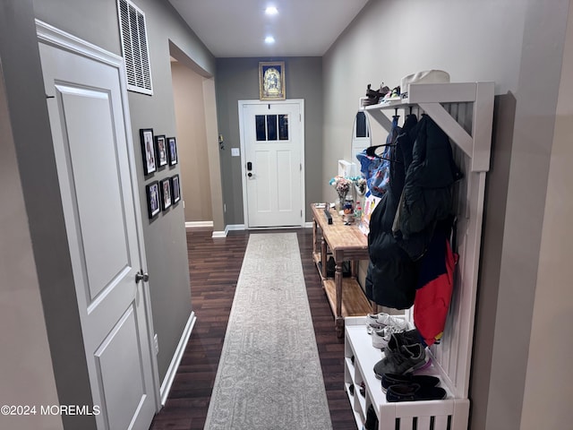 mudroom with dark wood-type flooring