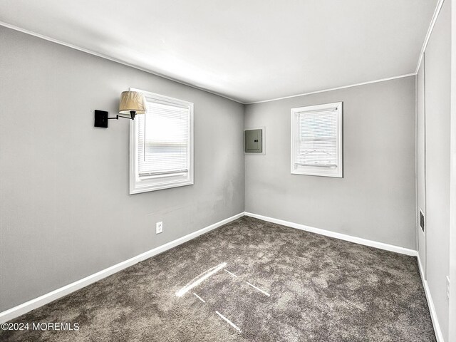 carpeted empty room with crown molding and electric panel