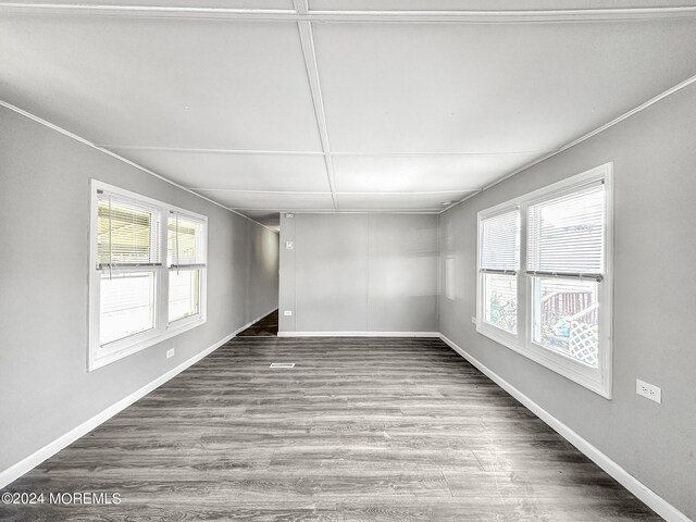 unfurnished room with wood-type flooring and a wealth of natural light