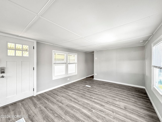 foyer entrance with wood-type flooring and a healthy amount of sunlight