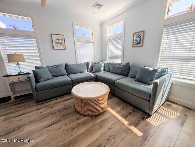 living room with ornamental molding and wood-type flooring