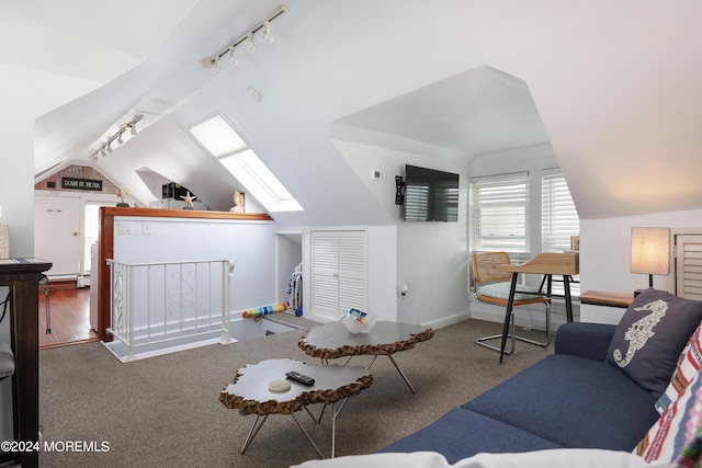 living room featuring lofted ceiling with skylight, wood-type flooring, and track lighting