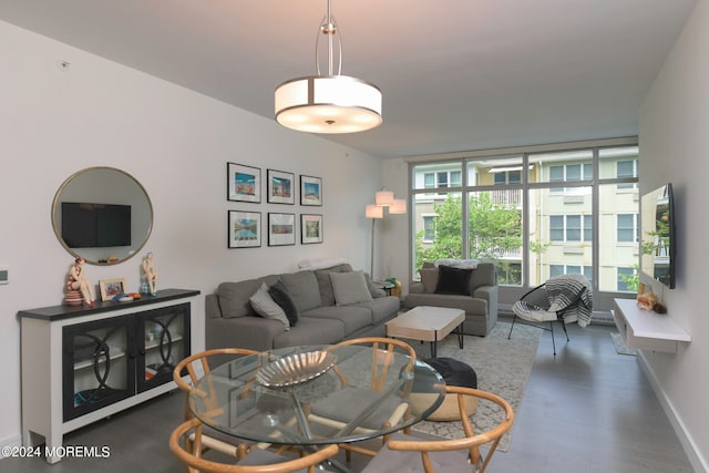 living room with dark hardwood / wood-style floors and expansive windows