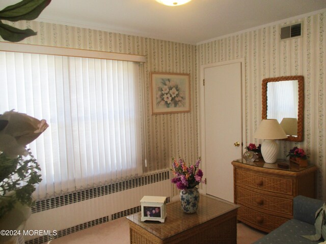 living room with radiator heating unit