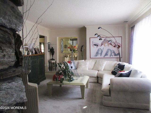 living room with ornamental molding and a textured ceiling