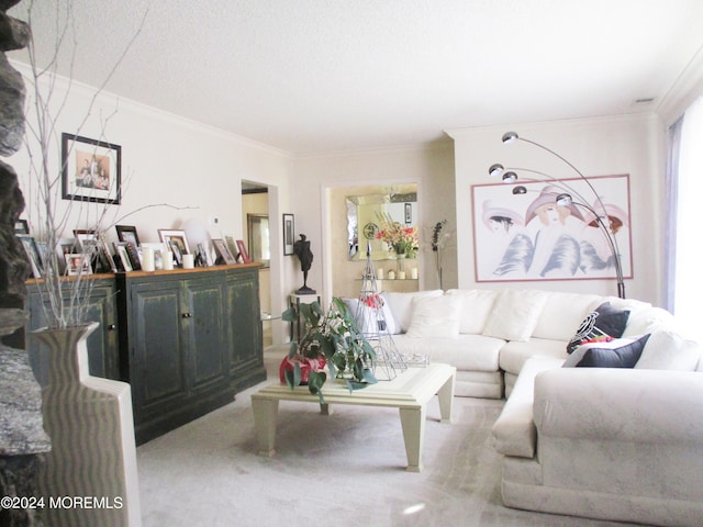 living room featuring light carpet, a textured ceiling, and ornamental molding