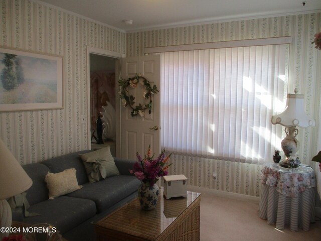 living room with ornamental molding and carpet