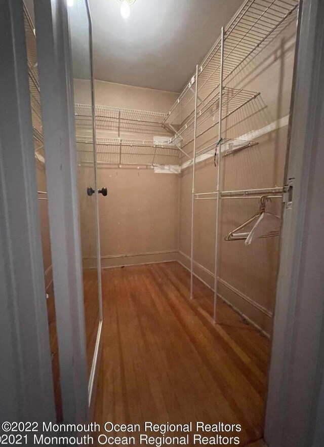 walk in closet featuring hardwood / wood-style flooring