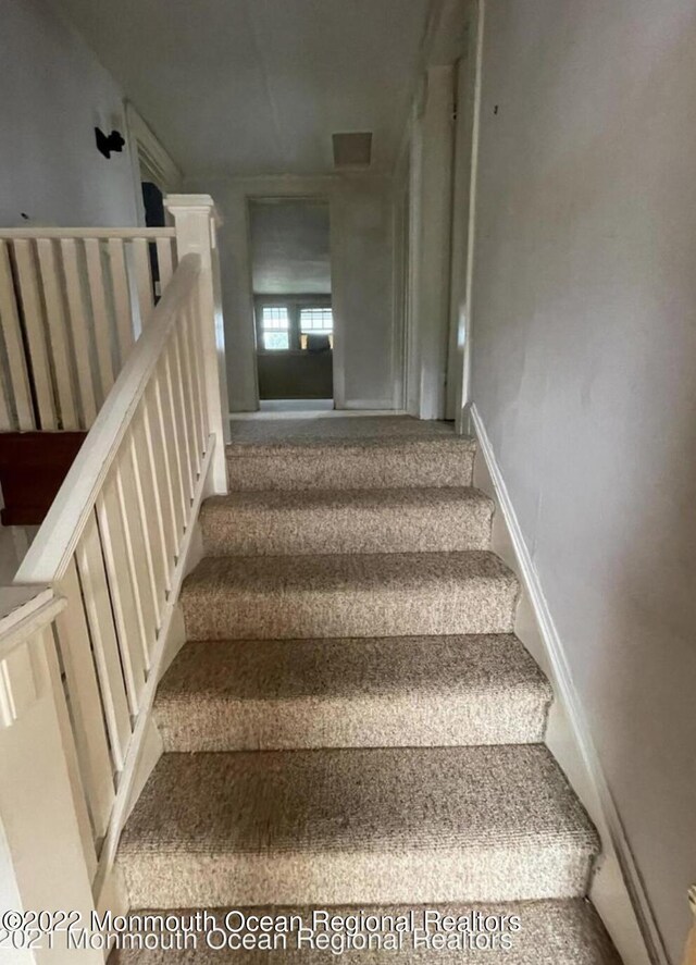 staircase featuring carpet flooring