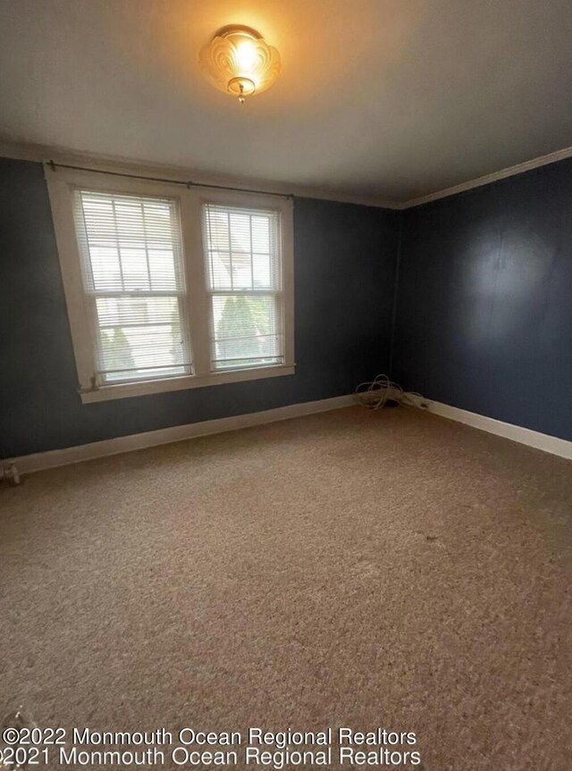 bonus room featuring carpet