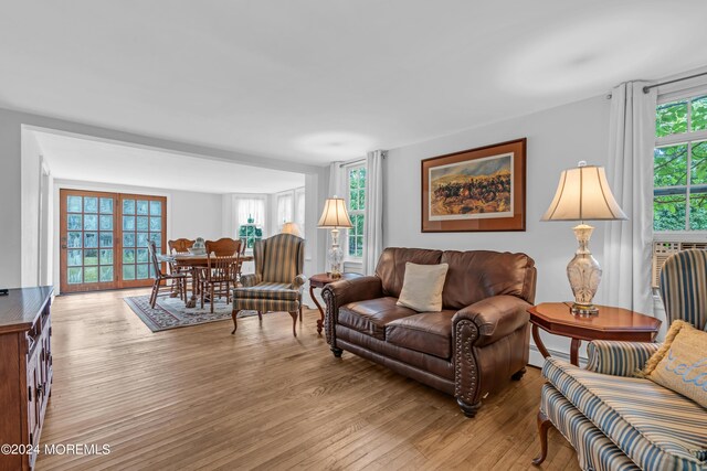 living room featuring light hardwood / wood-style flooring and a healthy amount of sunlight