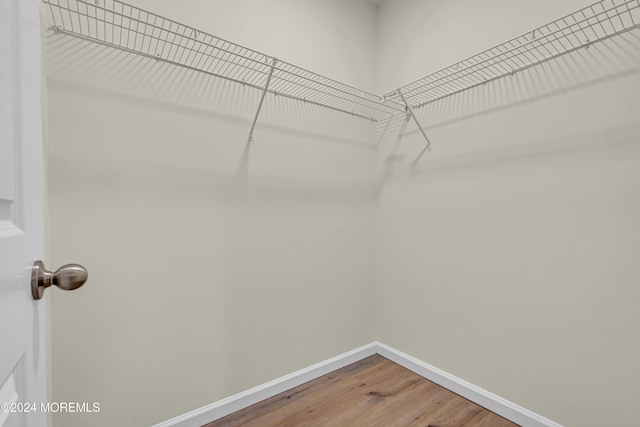 walk in closet with hardwood / wood-style flooring