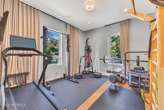 workout room featuring hardwood / wood-style floors