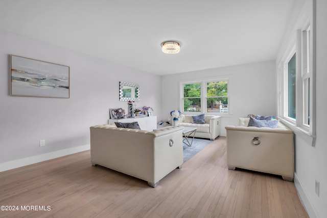 living room featuring light hardwood / wood-style flooring