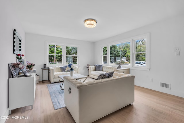 living room with light hardwood / wood-style flooring