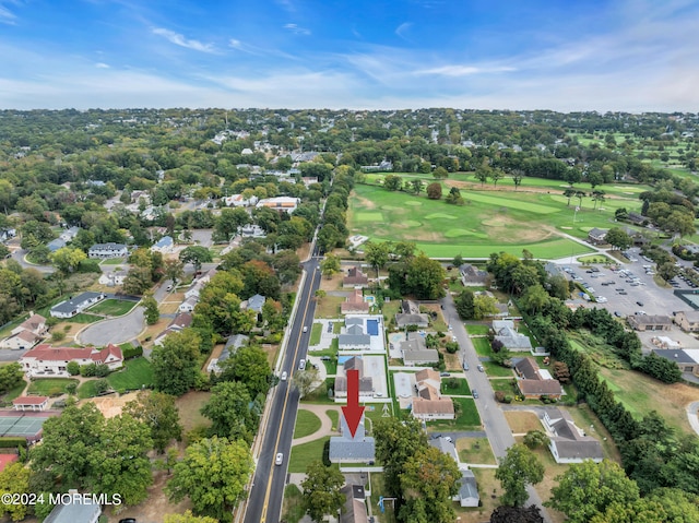 aerial view