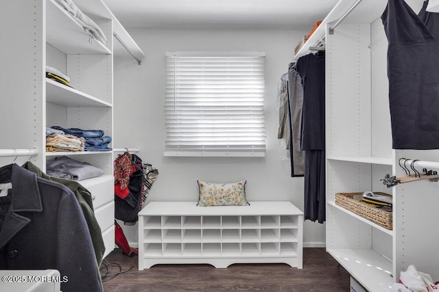 spacious closet featuring dark wood finished floors