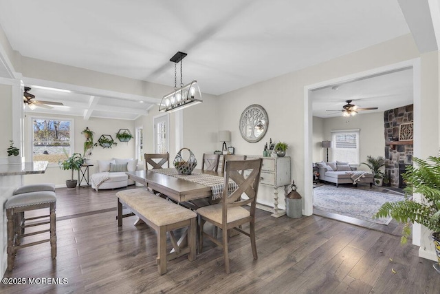 dining space featuring dark wood-style floors, beamed ceiling, and a stone fireplace