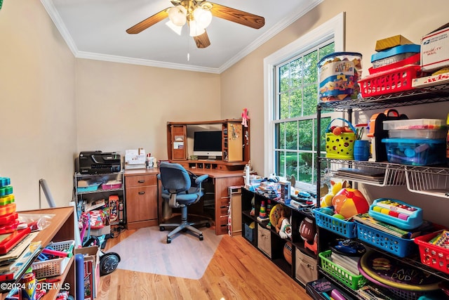 office with ceiling fan, hardwood / wood-style flooring, and ornamental molding