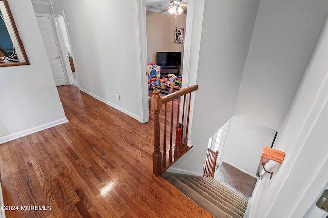 stairway featuring ceiling fan and hardwood / wood-style flooring