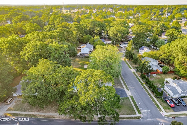 bird's eye view