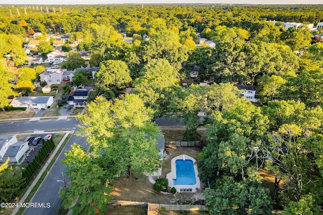 bird's eye view