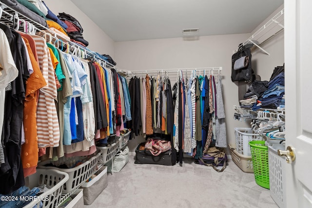 spacious closet featuring carpet