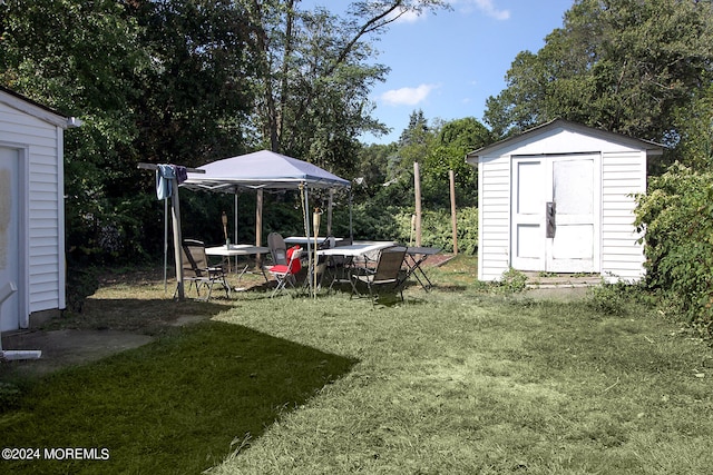 view of yard featuring a storage unit