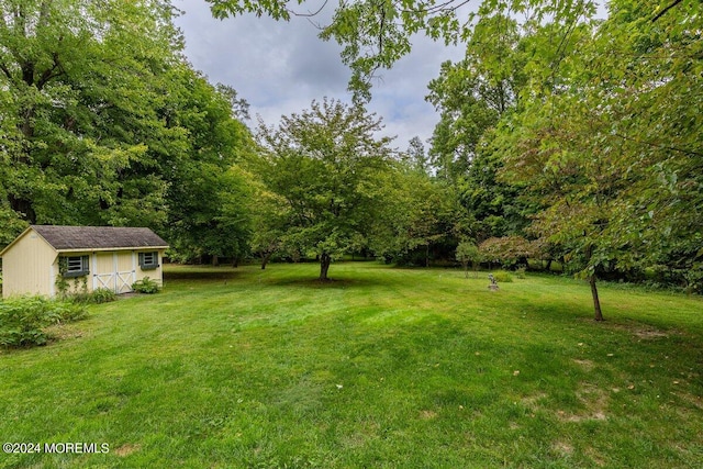 view of yard with an outbuilding