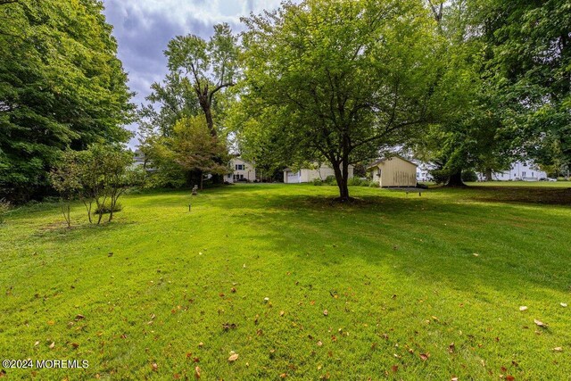 view of yard featuring a storage shed