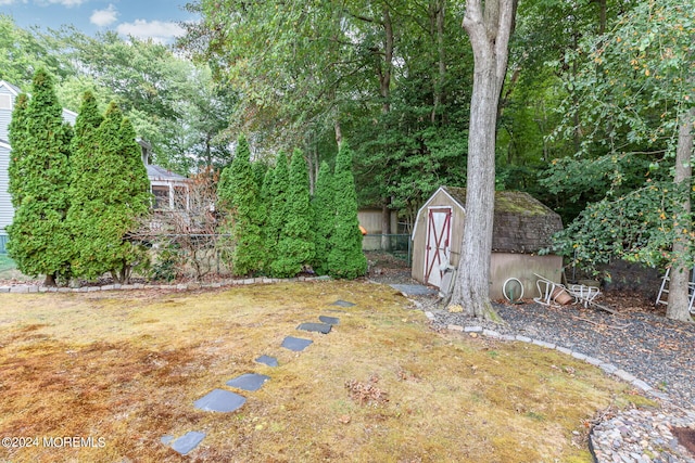 view of yard with a storage shed