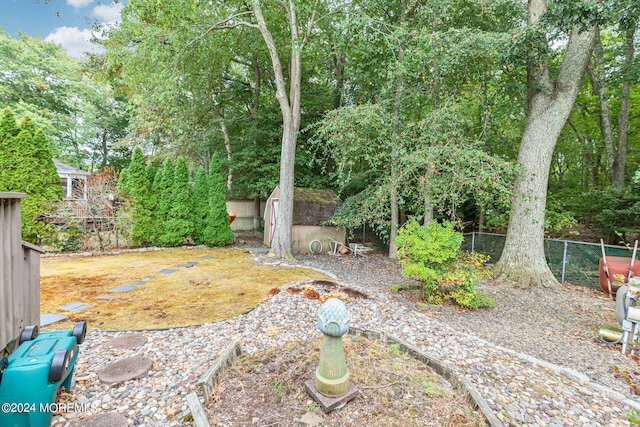 view of yard with a storage shed