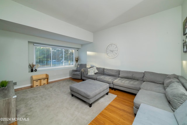 living room with wood-type flooring