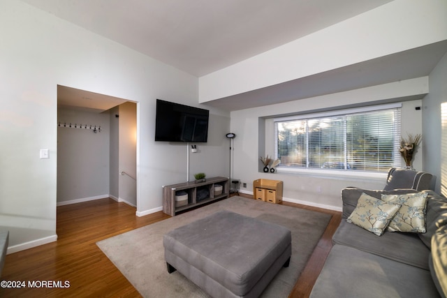 living room featuring dark hardwood / wood-style flooring