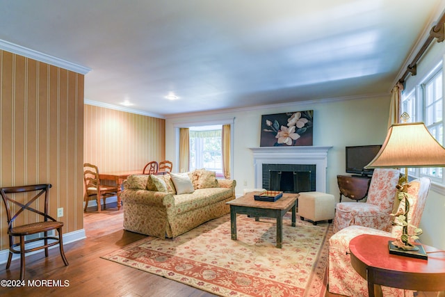 living room with hardwood / wood-style floors, a fireplace, and crown molding