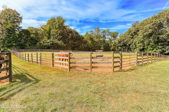 view of yard featuring a rural view