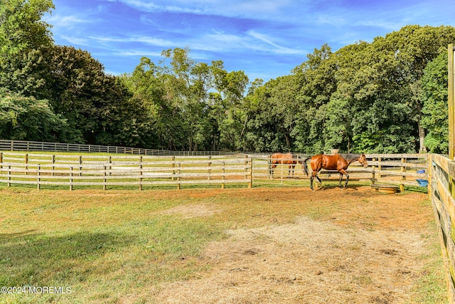 view of yard featuring a rural view