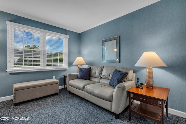 living room with dark colored carpet