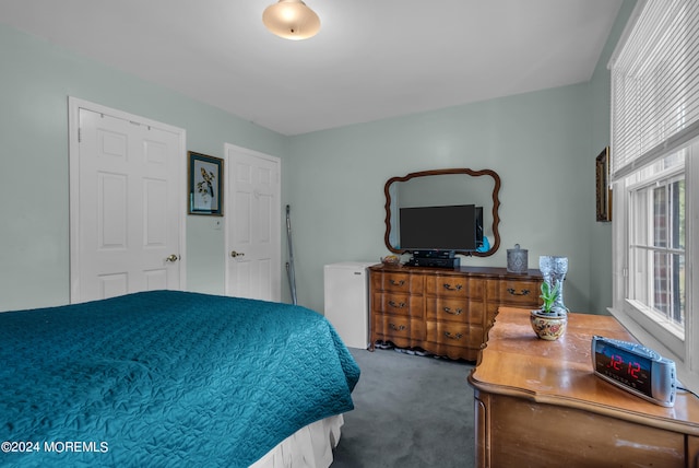 bedroom with carpet floors