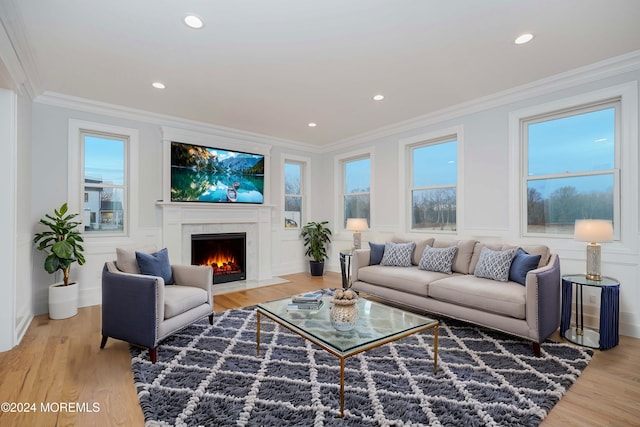 living room with wood-type flooring and ornamental molding