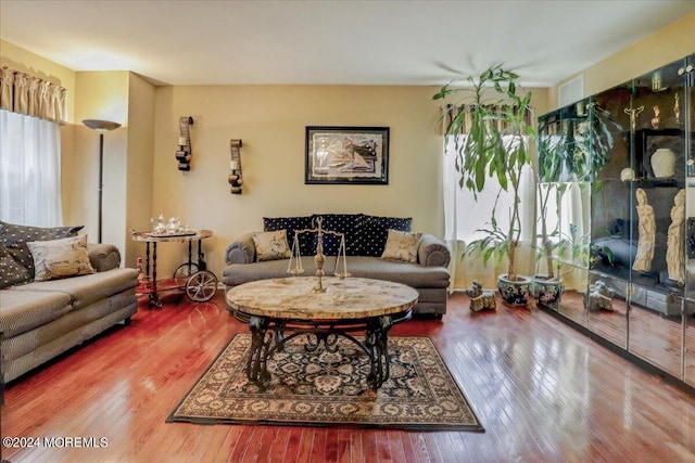 living room with wood-type flooring