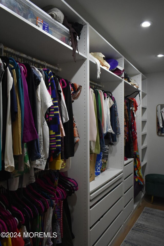 spacious closet featuring wood-type flooring