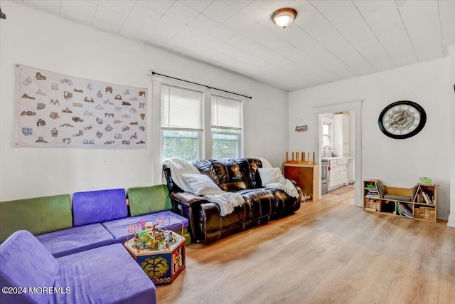 living room with wood-type flooring