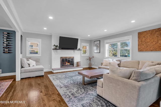 living area featuring baseboards, a large fireplace, wood finished floors, and crown molding