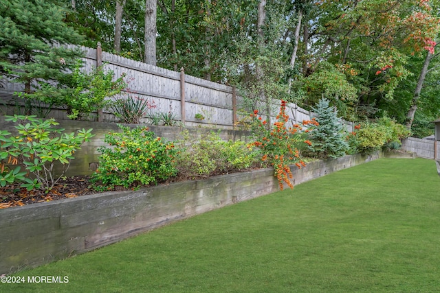 view of yard with a fenced backyard