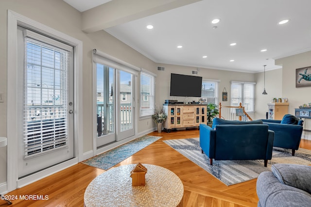 living room featuring crown molding, hardwood / wood-style floors, and a wealth of natural light