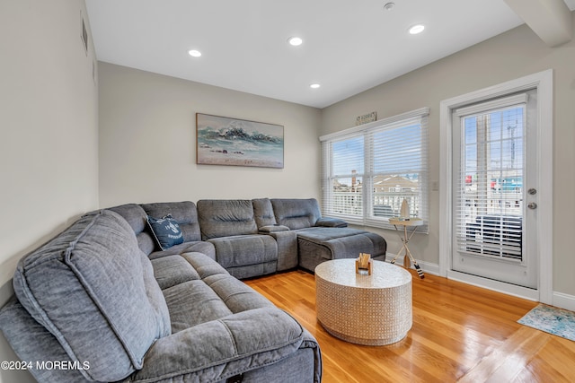 living room with hardwood / wood-style flooring