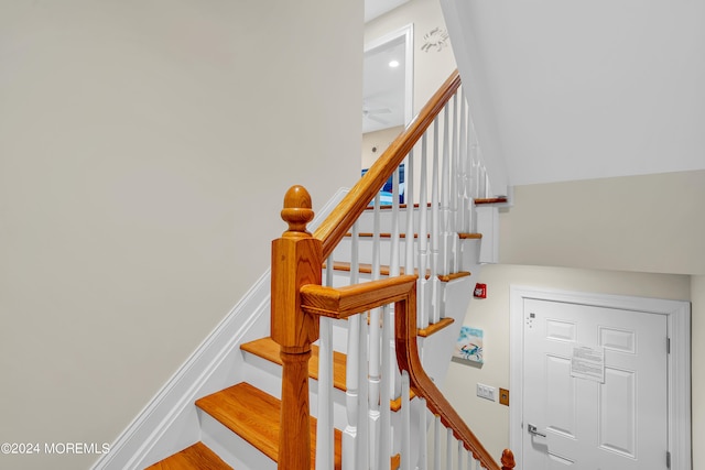 stairway featuring hardwood / wood-style floors