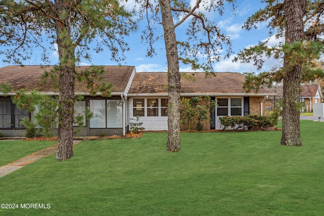 ranch-style house featuring a front yard