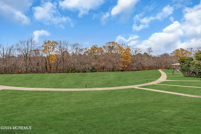 surrounding community with a lawn